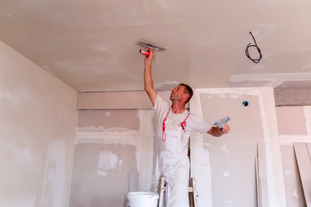 Best Drywall Sanding and Smoothing  in Greensburg, IN